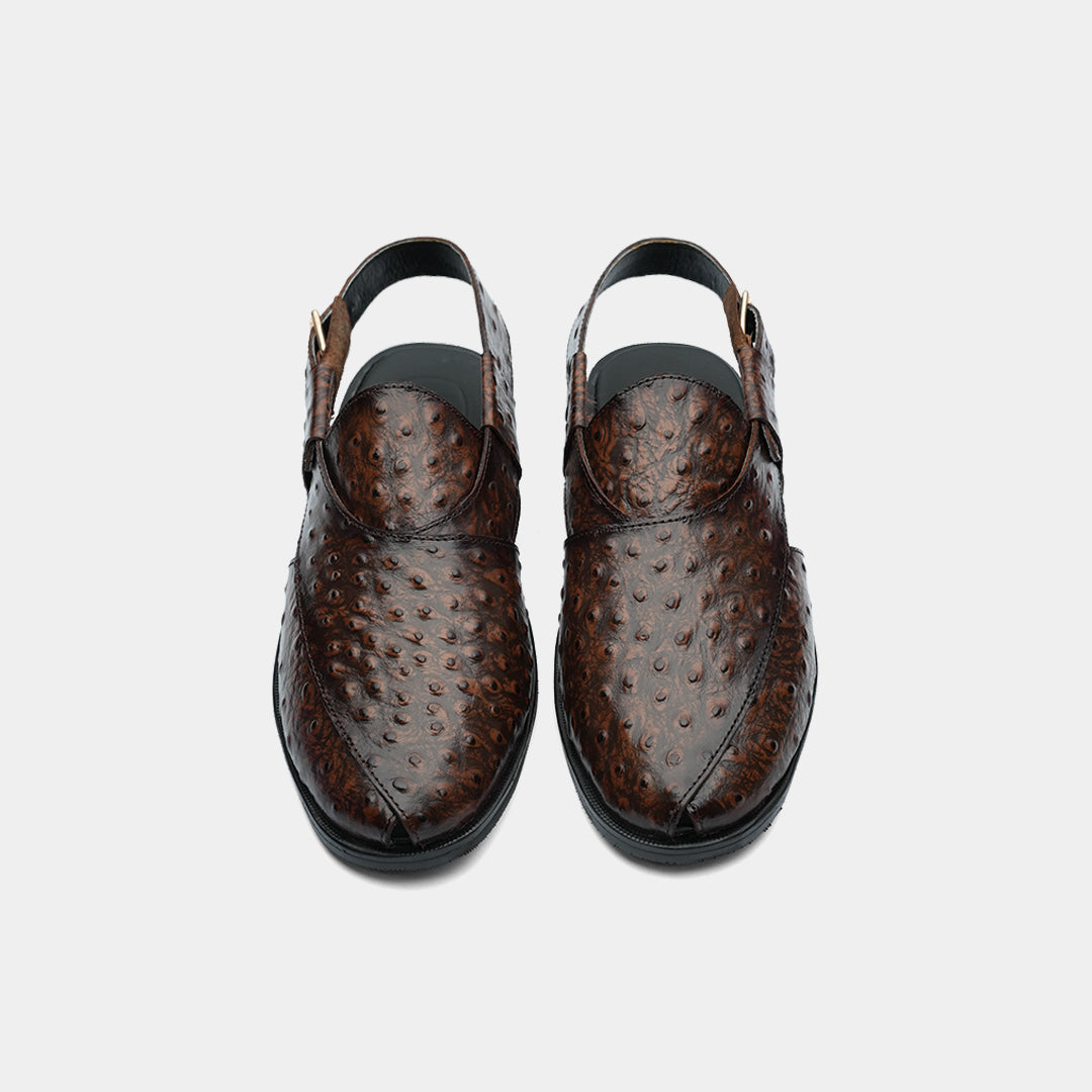 RPSW 6 Dark Brown