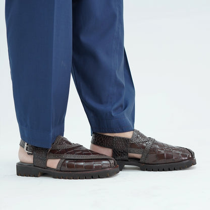RPSW 6 Brown